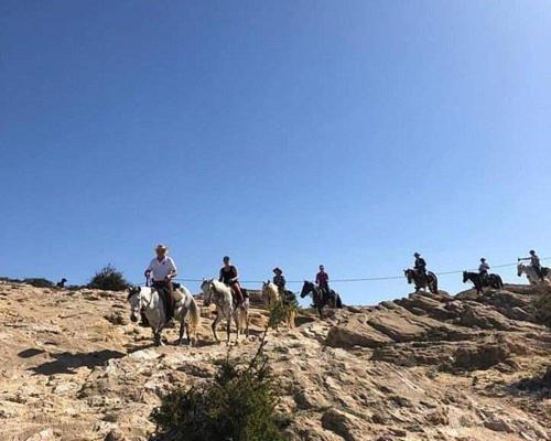 Happy Bedouin House Petra Bed & Breakfast Al Hayy Exterior photo